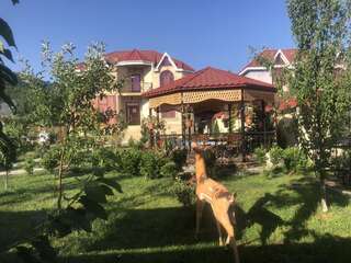 Виллы Qafqaz Tufandag Villa Габала Вилла-2